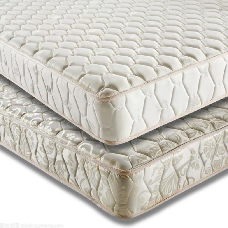 1698386603558575.jpg 1698386603558575.jpg